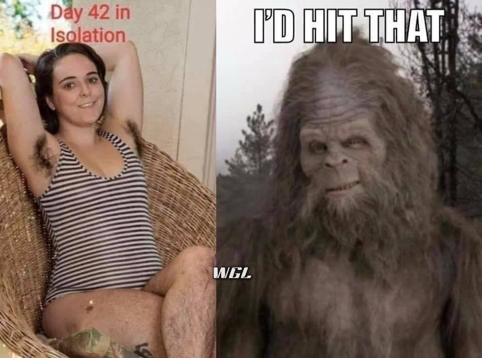 IHT.jpg