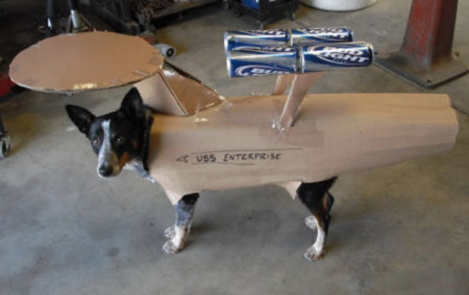 enterprise 1.jpg