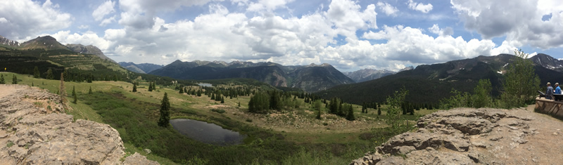 IMG_8435_800px.jpg