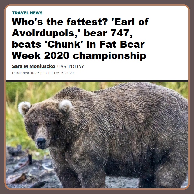 Bear03.jpg