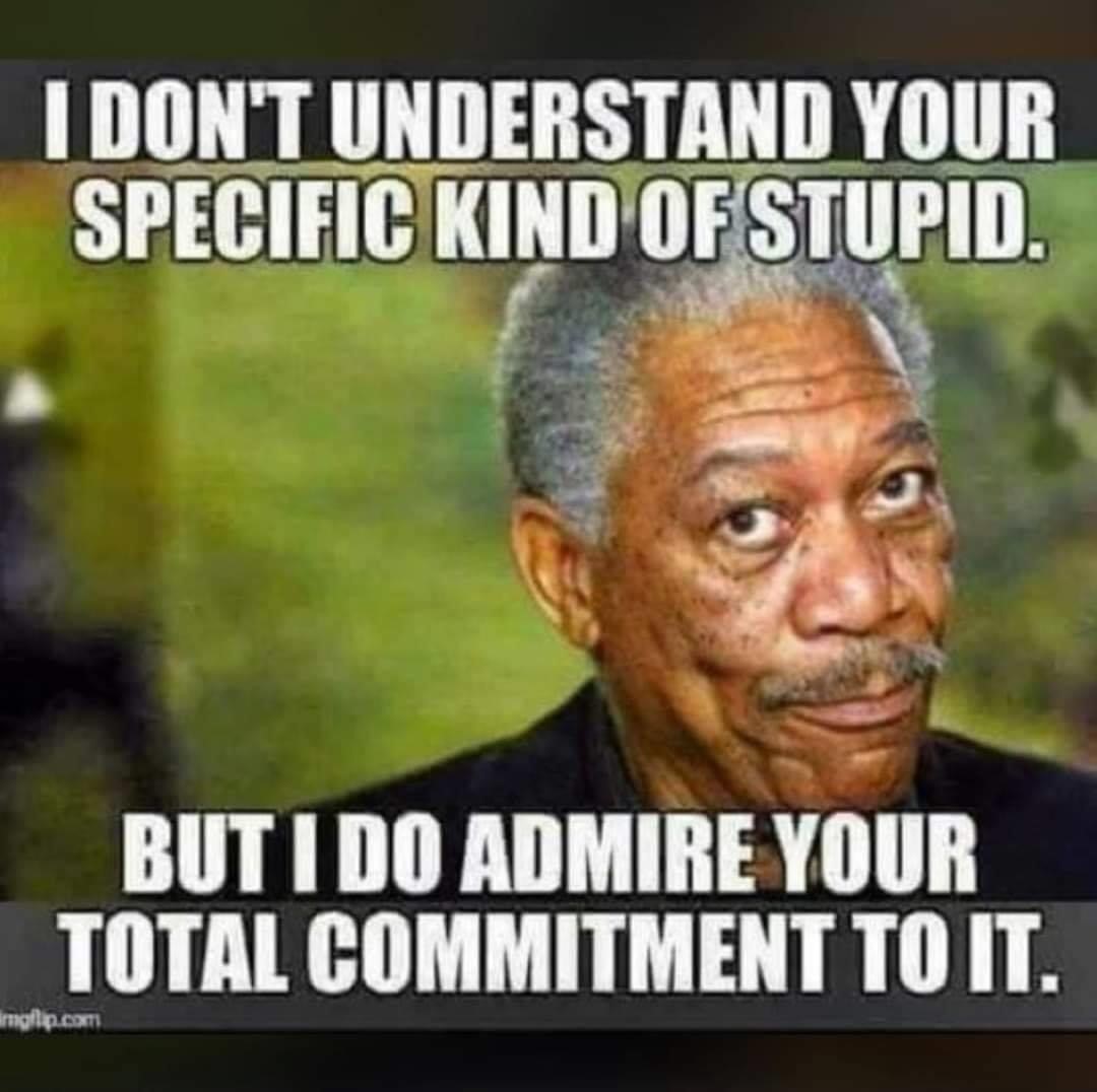 Stupid.jpg