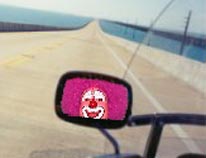 6564.jpg
