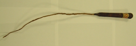 8776.jpg