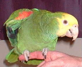 28549.JPG