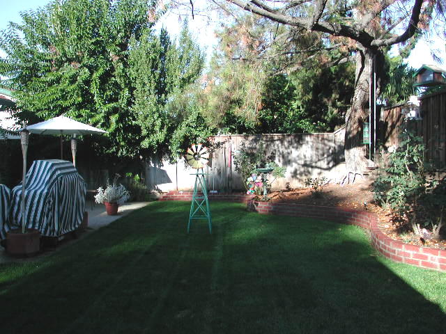 55664.jpg