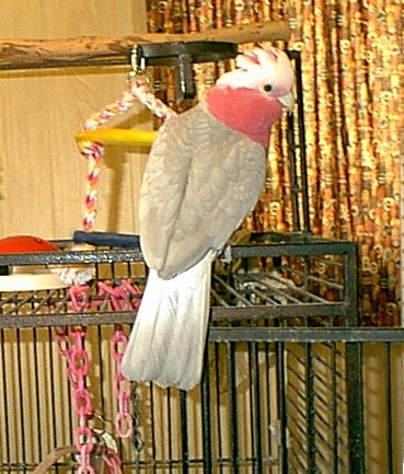 56855.jpg