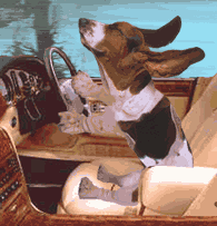 124623.gif