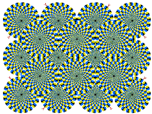 141690.gif