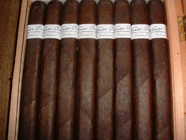 166407.jpg