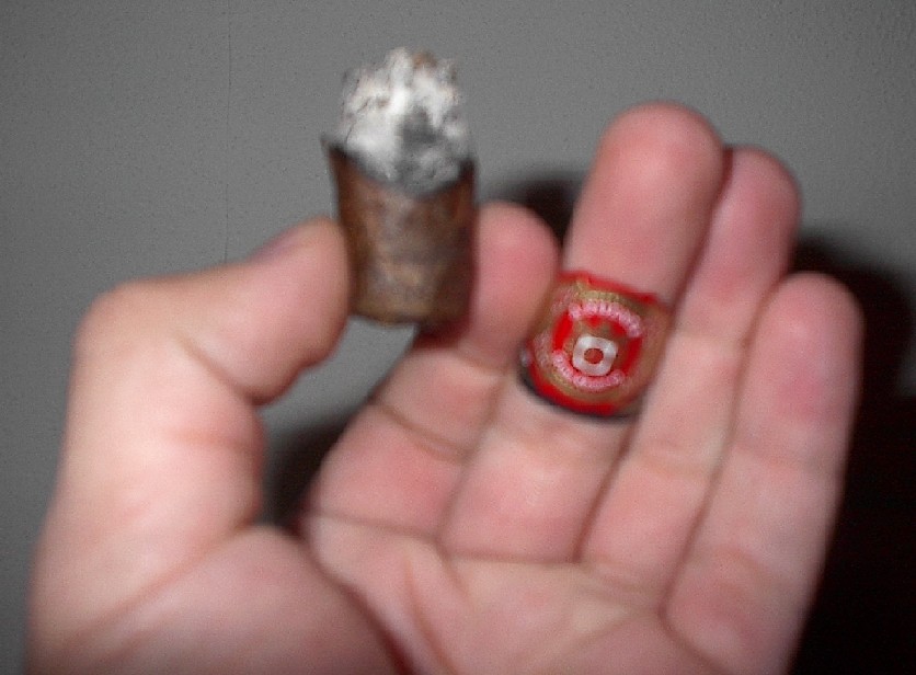 187561.jpg