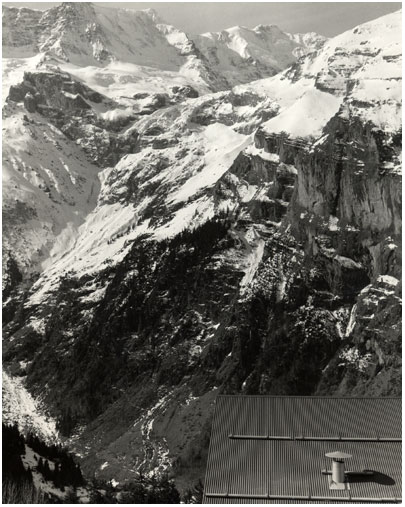 196627.jpg