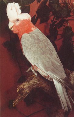 198753.JPG
