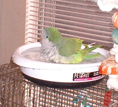 210448.jpg
