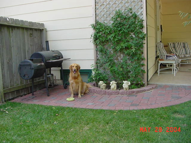 231999.jpg
