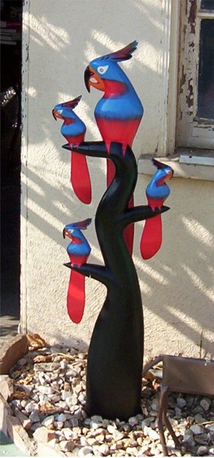 243415.JPG