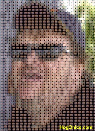288885.jpg