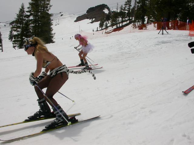 293519.jpg