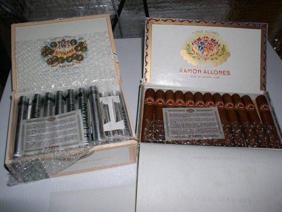 310868.jpg