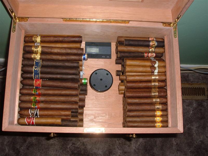 310905.JPG