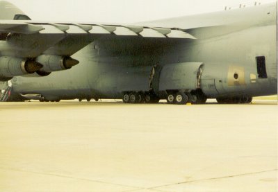 349513.jpg