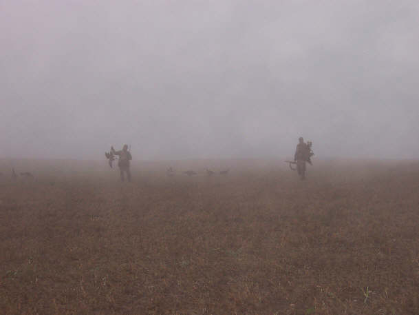 354053.jpg