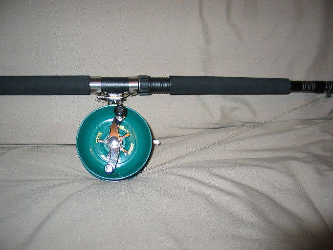 354054.jpg
