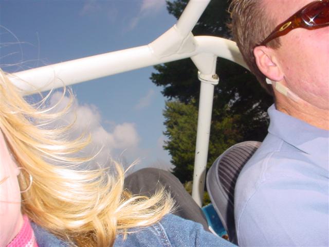 354240.jpg