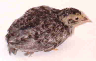 362046.JPG