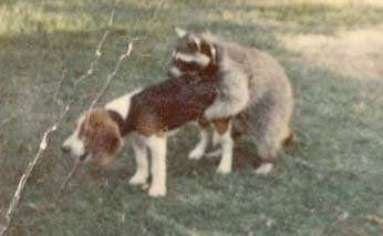 369840.jpg