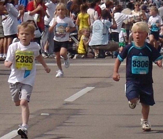 380961.jpg