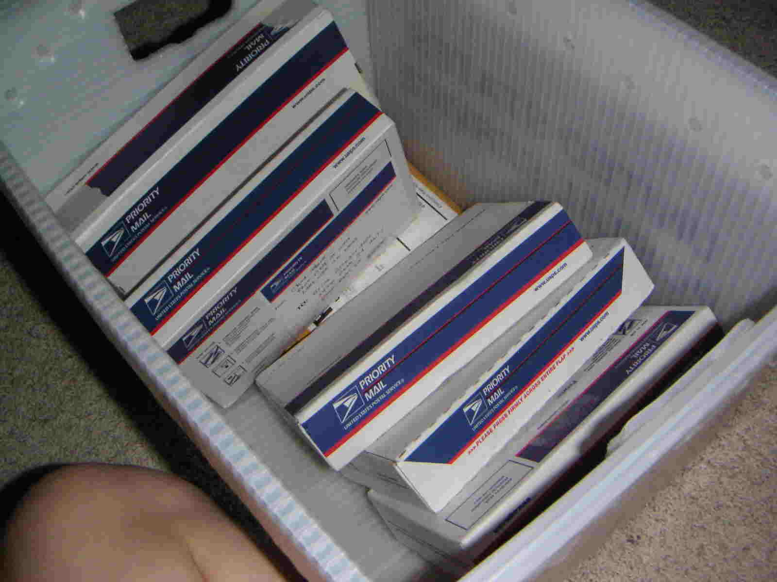382089.jpg