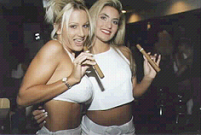 383471.bmp