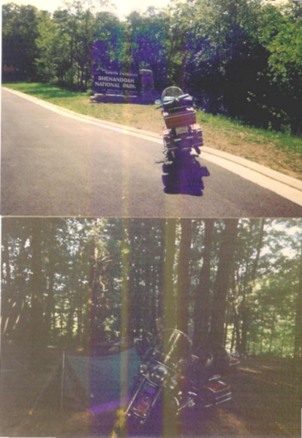 413694.jpg