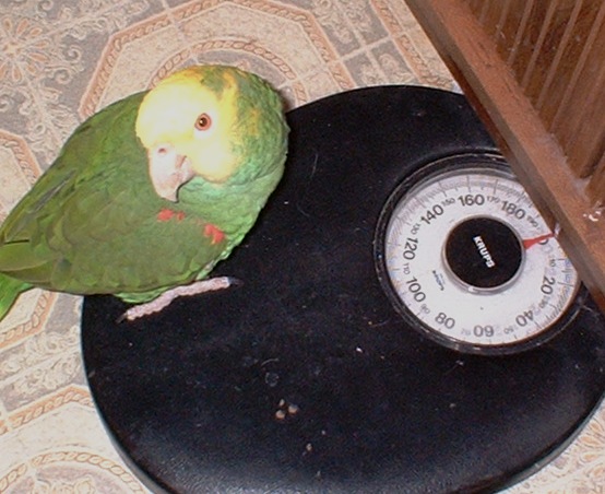 415751.jpg