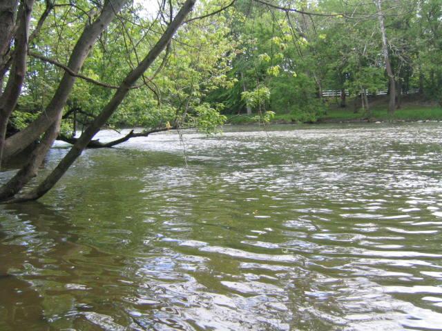 416778.JPG
