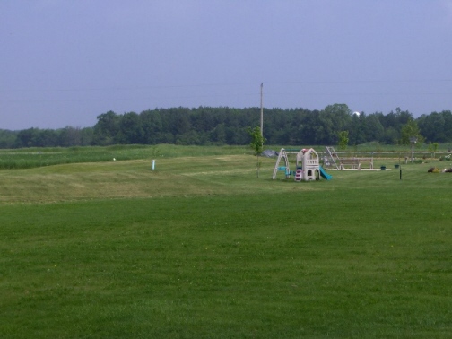 427069.jpg