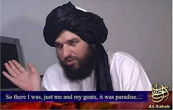 1058872.jpg