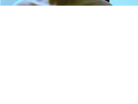 1310811.gif