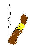 2265071.bmp
