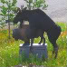 Martymoose