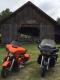 harleyd31