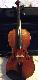 fiddler898