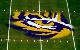 Geauxcrotigers3
