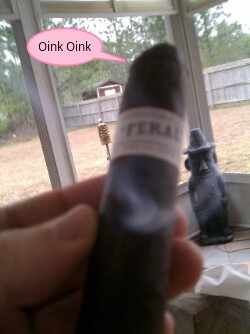 1324932593-picsay.jpg