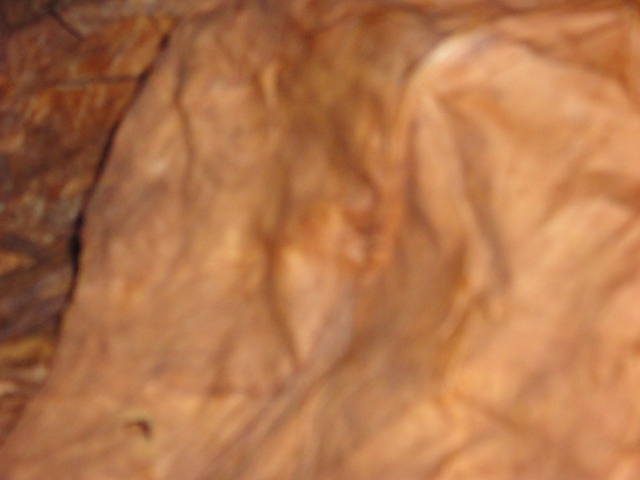 148.JPG