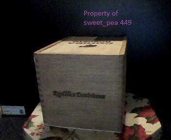 fakecc2.jpg