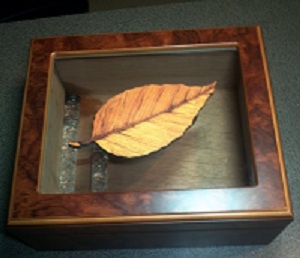 Leaf Humidor 2.jpg