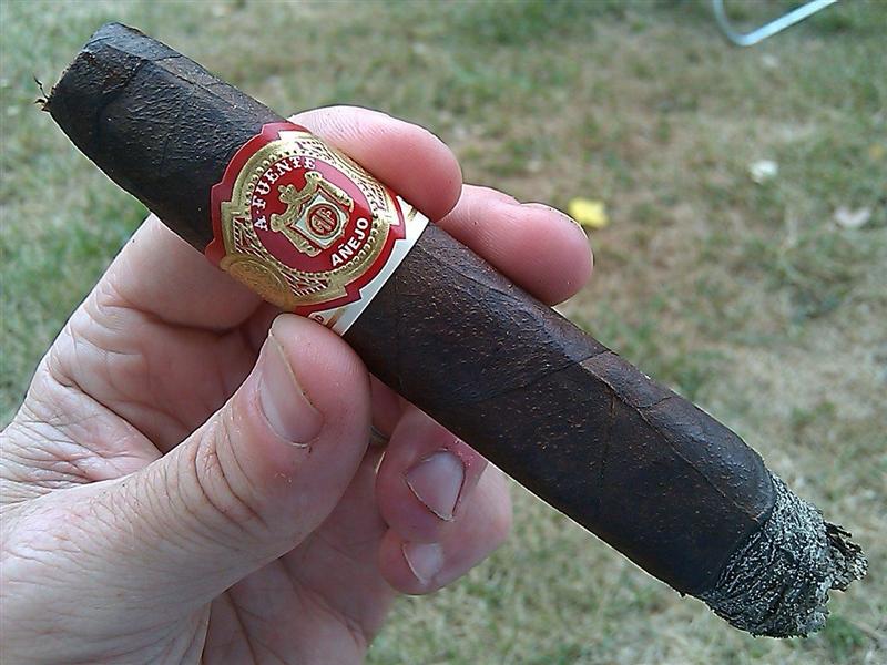 Cigar Anejo shark (Medium).JPG