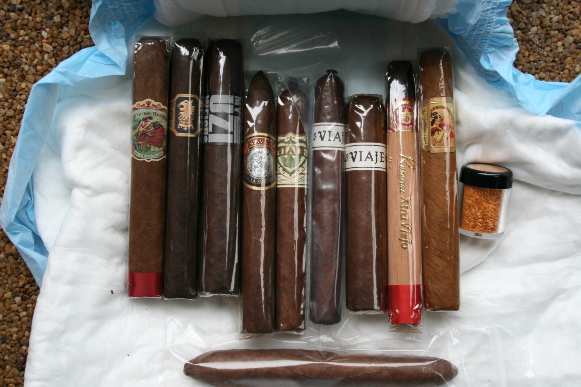 whizzy1 9-17-12.JPG