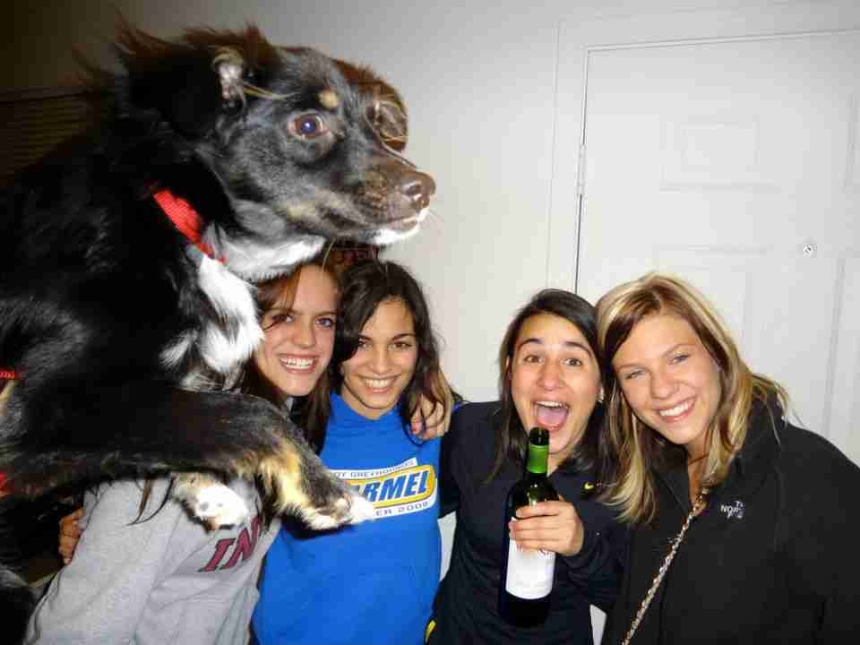 photobomb_level_dog.jpg